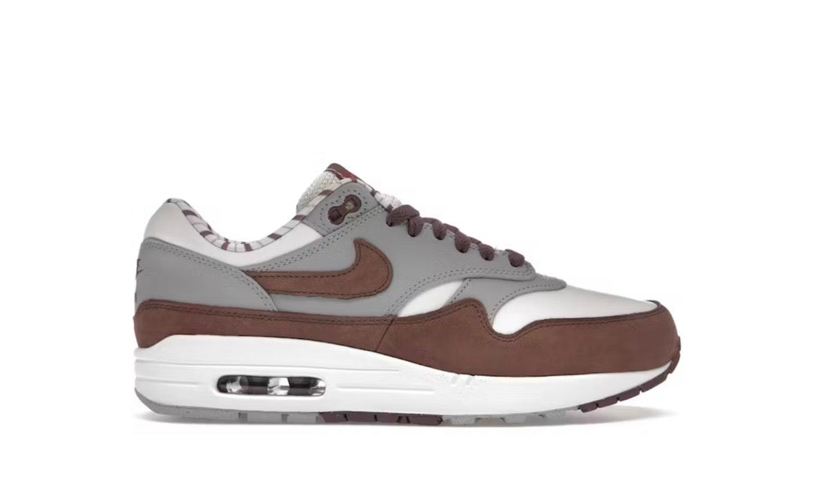 Nike Air Max 1 Premium Shima Shima (2023)